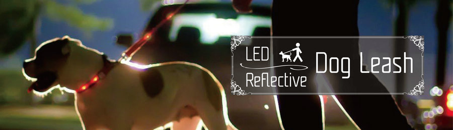 LED / Reflective Dog Leash